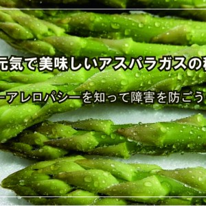 歴史を変えた作物 じゃがいも 連作障害の対処法 アルム農材